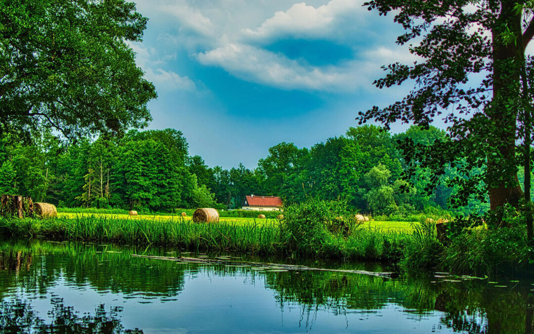 Spreewald